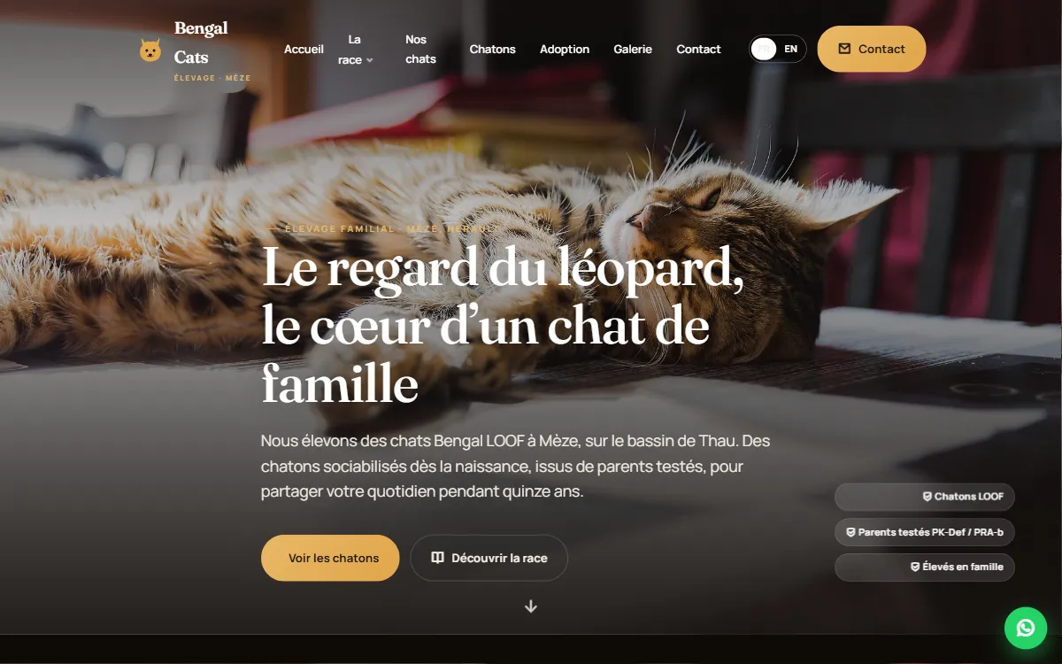 Capture du site Bengal Cats, réalisé par Tourak Digital Group